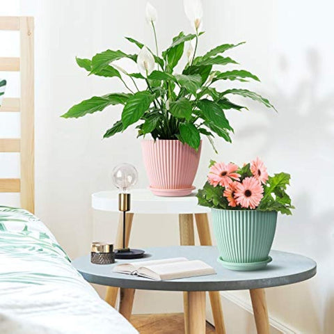 ðļ Plastic Round Flower Pot with Tray & Drainage Holes â Perfect for Indoor & Outdoor Plants ðļ Plastic Round Flower Pot with Tray & Drainage Holes â Perfect for Indoor & Outdoor Plants