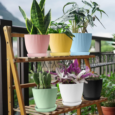 ðļ Plastic Round Flower Pot with Tray & Drainage Holes â Perfect for Indoor & Outdoor Plants ðļ Plastic Round Flower Pot with Tray & Drainage Holes â Perfect for Indoor & Outdoor Plants