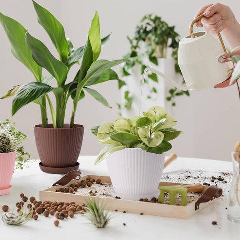 ðļ Plastic Round Flower Pot with Tray & Drainage Holes â Perfect for Indoor & Outdoor Plants ðļ Plastic Round Flower Pot with Tray & Drainage Holes â Perfect for Indoor & Outdoor Plants