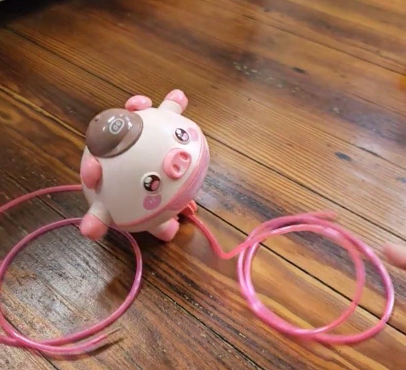 🧸 Tightrope Walking Tumbler Pig – Fun Balance Toy for Kids!