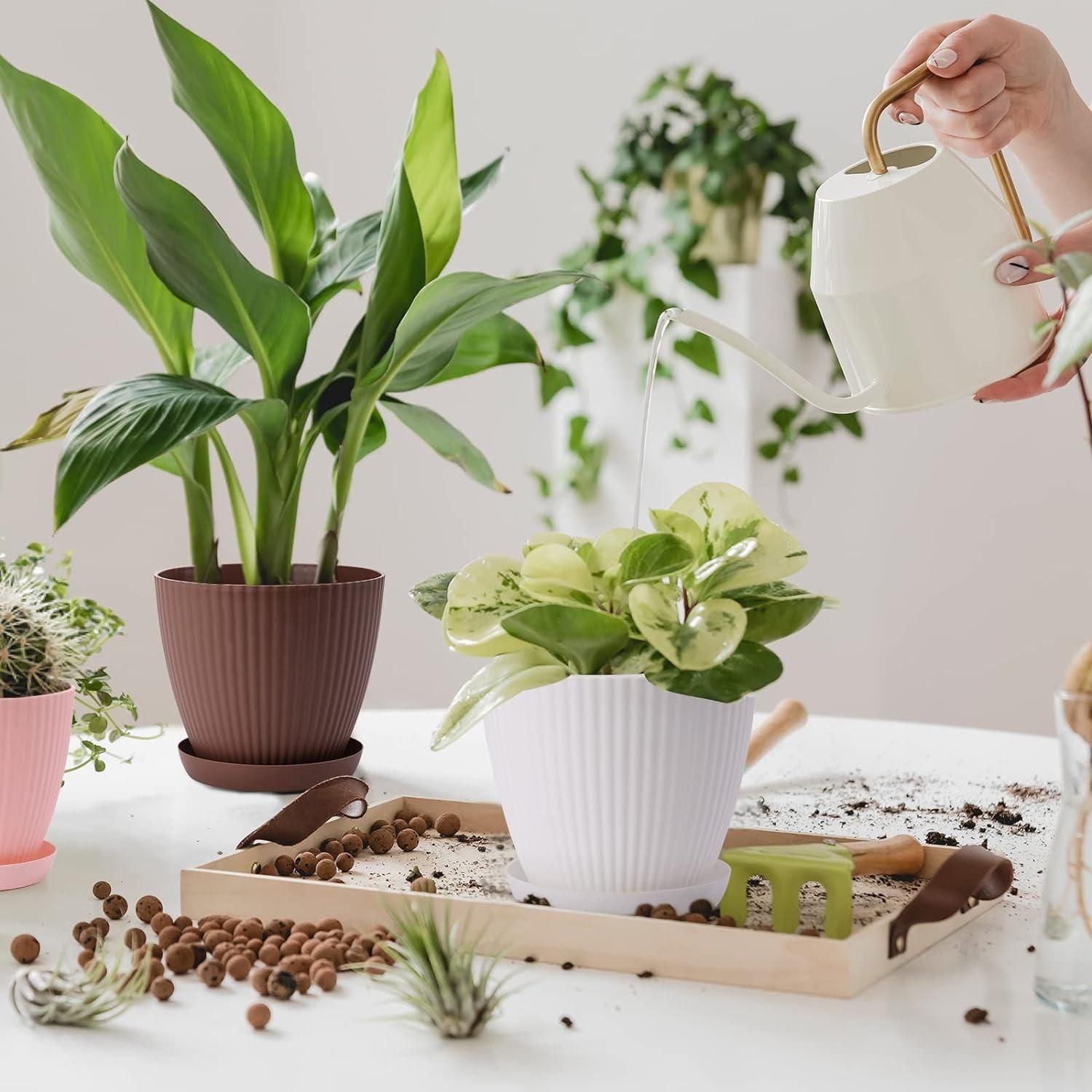 🌸 Plastic Round Flower Pot with Tray & Drainage Holes – Perfect for Indoor & Outdoor Plants