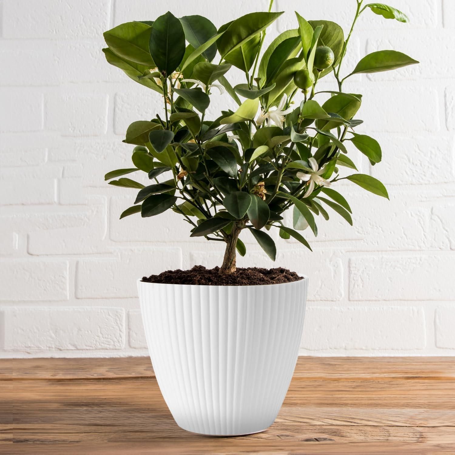 🌸 Plastic Round Flower Pot with Tray & Drainage Holes – Perfect for Indoor & Outdoor Plants